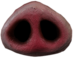 Pig Nose