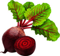 Beetroot