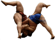 Sumo Wrestlers Upside Down