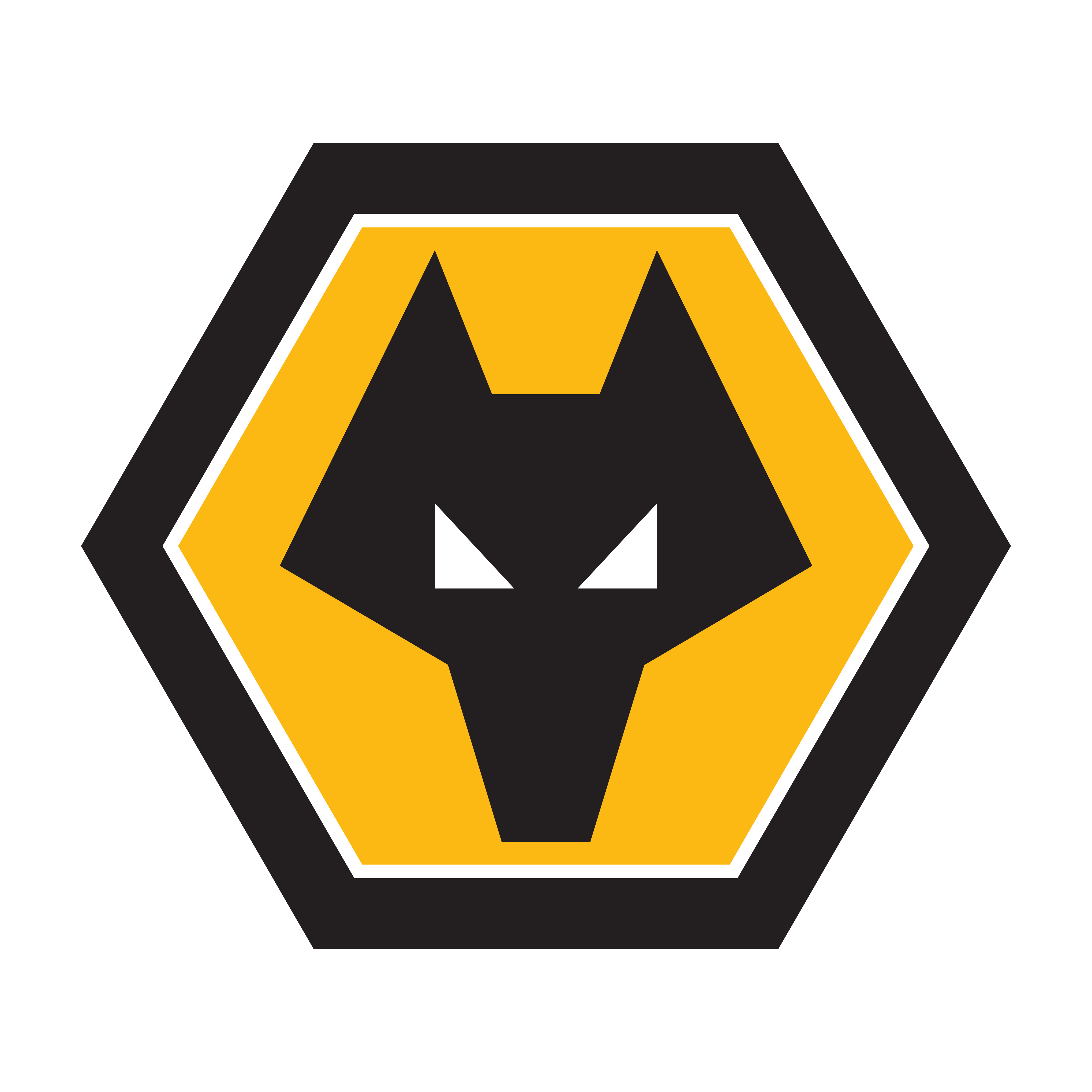 Wolverhampton Fc