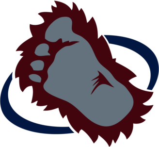 Colorado Avalanche