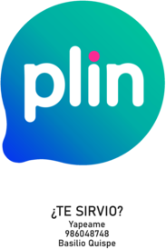 Plin logo AI