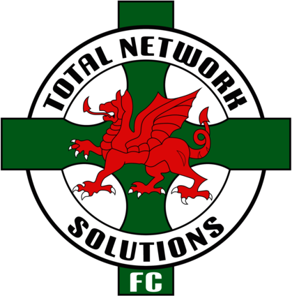 TNS Llansantffraid FC