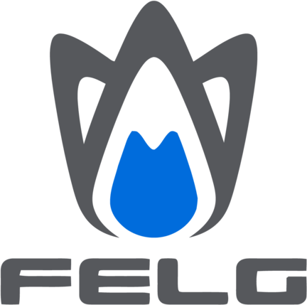 Felg Software