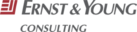 Ernst & Young Consulting