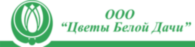 Tcvety Beloy Dachi