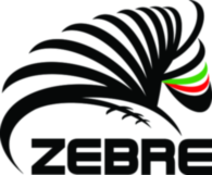 Zebre Rugby