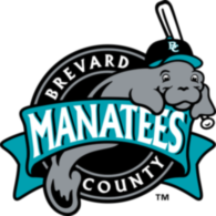 Brevard County Manatees