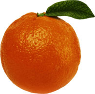 Orange Single