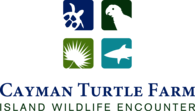Cayman Turtle Farm