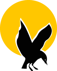 Scarborough Cricket Club 