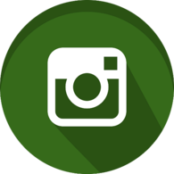 Instagram Green Round Icon