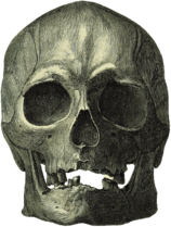 Danish Kai Likké Damaged Skull