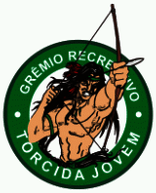 Guerrilha Jovem