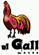 Gall