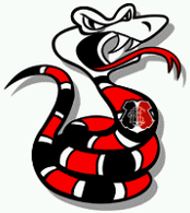 Santa Cruz Futebol Clube de Belo Horizonte-MG