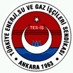 tes-is