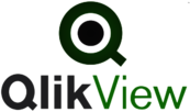 Qlik View 