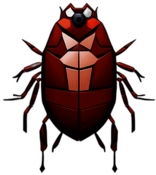 Bedbug, Children'S Cartoon Animation Style -  Full Body, Single View, No Shadow