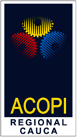 Acopi Cauca