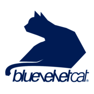 Bluevelvet Cat