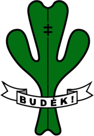 Scout Association of Lithuanian