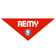 Remy
