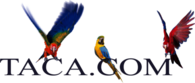 TACA Air Lines