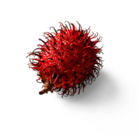 Rambutan