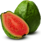 Ripe Guava