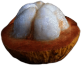 Opened Santol Fruit