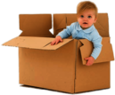 Child In Cardboard Box