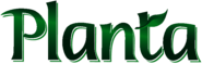 Planta