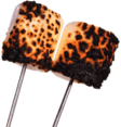 Burnt Marshmallows on Stick