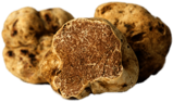 White Truffles