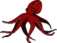 Red Squid