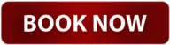 Red Rectangular Book Now Button