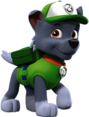 Paw Patrol Rocky