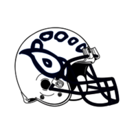 Borregos TEC CEM_casco