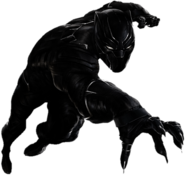 Black Panther Front