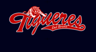 Tigueres del Bronx