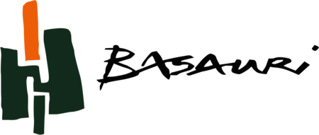 Ayuntamiento de basauri