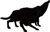 Elder Scrolls Skyrim Wolves