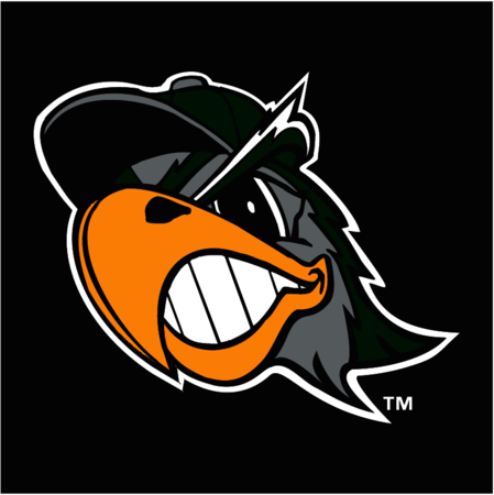 South Bend Silver Hawks