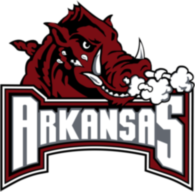 Arkansas Razorback 73905