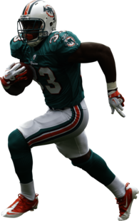 Miami Dolphins Player