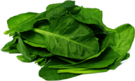 Spinach