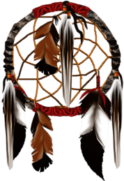 Dream Catcher Feathers