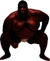 Sumo American Wrestler