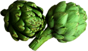 Artichoke